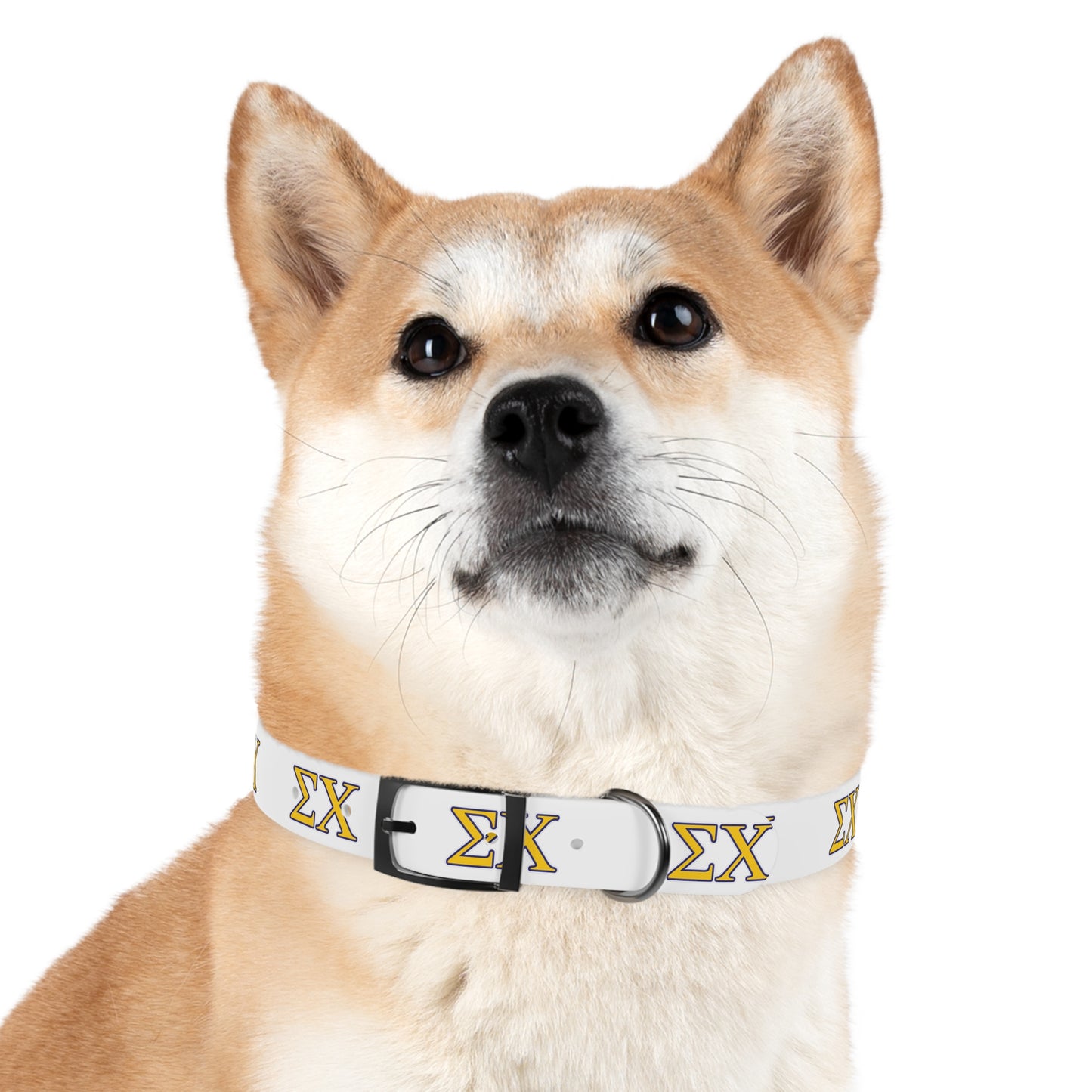 Sigma Chi Dog Collar