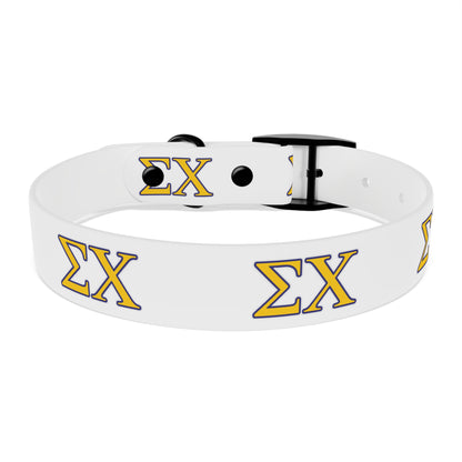 Sigma Chi Dog Collar