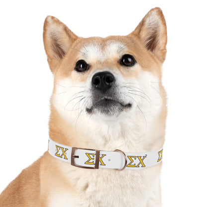 Sigma Chi Dog Collar