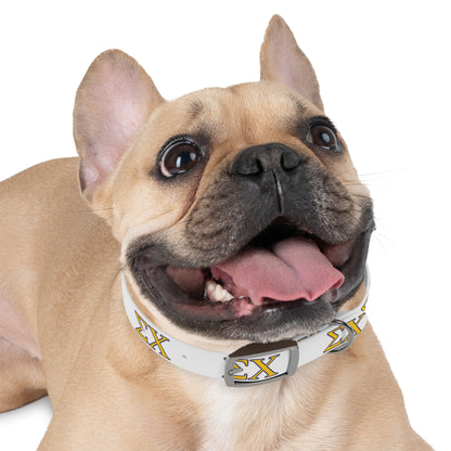 Sigma Chi Dog Collar