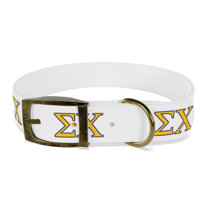 Sigma Chi Dog Collar