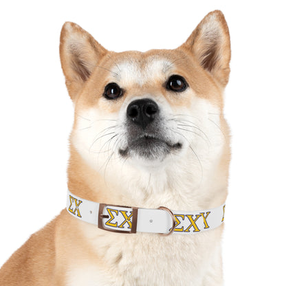 Sigma Chi Dog Collar