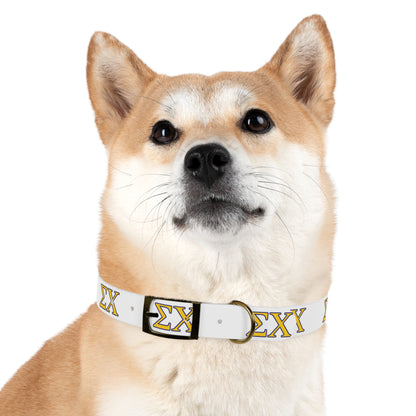 Sigma Chi Dog Collar